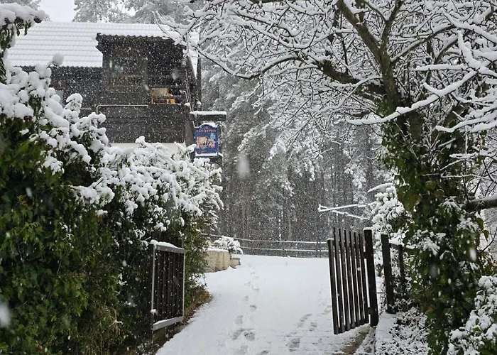 木屋 Natura La Taverna Dei 3 Porcellini